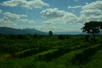 DSC_9676 (Large).JPG